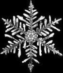 Snowflake as seen through a microscope.